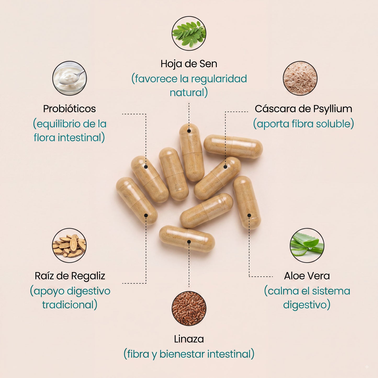 Programa de Limpieza Digestiva